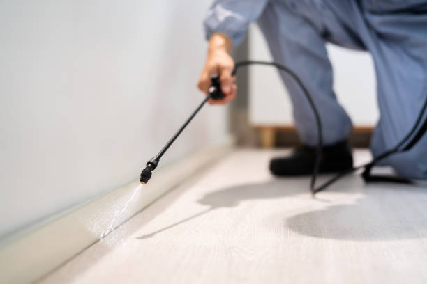 Licensed Termite Control service in Orinda, CA - Nex Pest Control