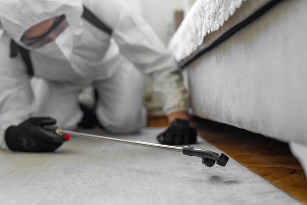 Professional Termite Control technician working in Orinda, CA