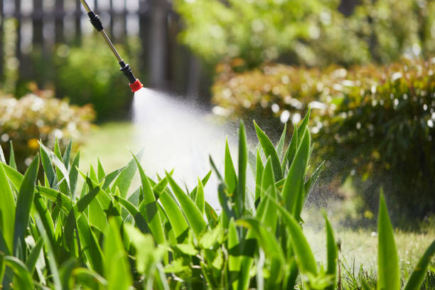 24/7 Emergency Termite Control experts in Orinda, CA