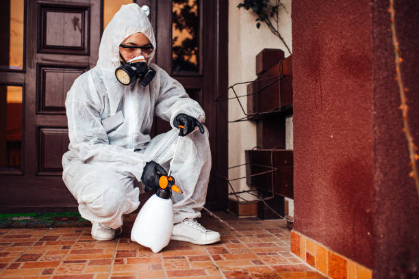 Reliable Termite Control contractor in Orinda, CA by Nex Pest Control